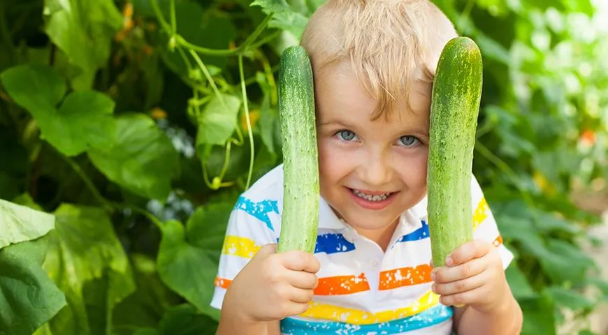 Предлагайте ребенку съесть овощи ненавязчиво. Например, через игру - это работает лучше, чем  принуждение