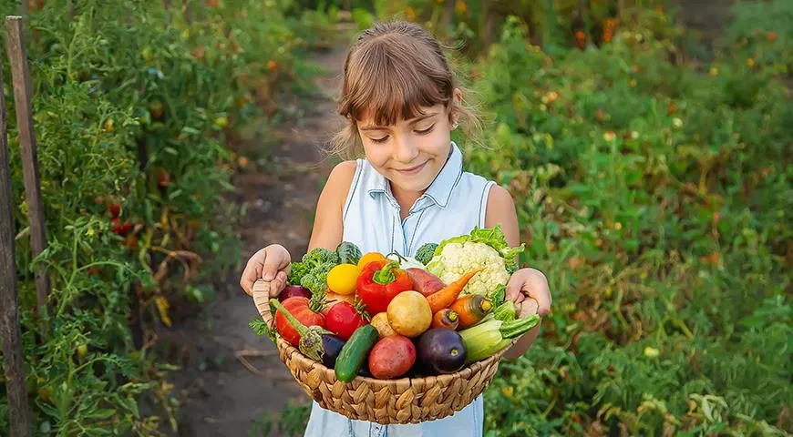 Как не перекормить детей фруктами и овощами
