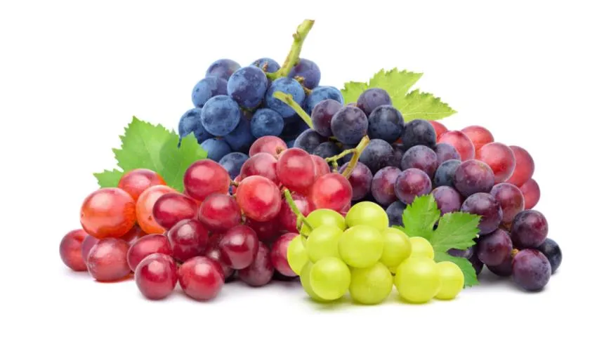 Польза винограда для здоровья