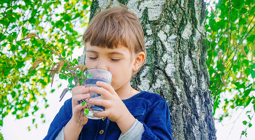 Березовый сок — природный источник витаминов и минеральных веществ