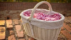 Секреты удачного пикника от Сталика Ханкишиева