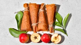 Яблочная пастила в сушилке