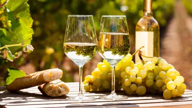 Что такое органическое вино: мода, маркетинг или возвращение к истокам