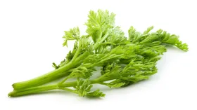 Морковная ботва