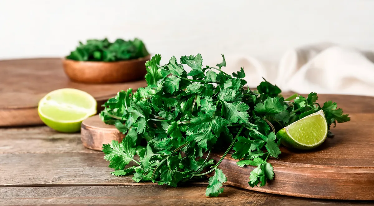 Настоящая причина, по которой многие не любят кинзу