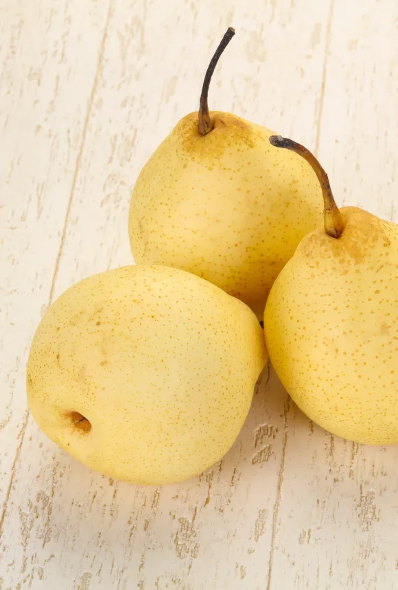 Китайская груша