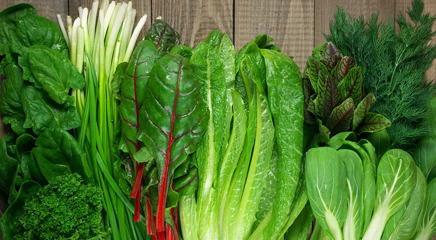 Используйте зелень не только как приправу: по мнению диетологов, её количество в тарелке должно равняться количеству салата или гарнира