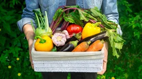 3 интересных факта об овощах