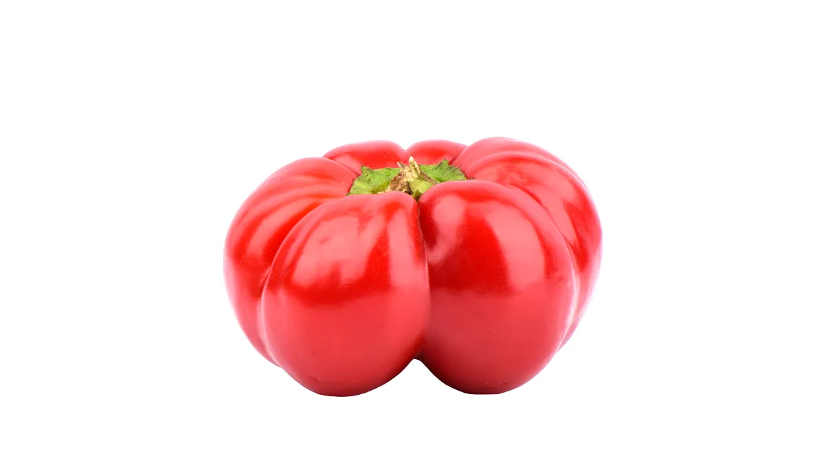 Перец Гогошар