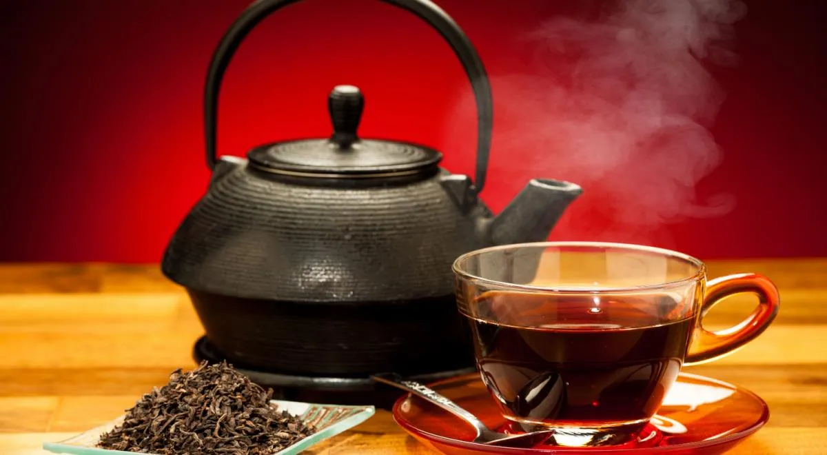 Названы самые неожиданные эффекты чая пуэр: можно ли от него опьянеть