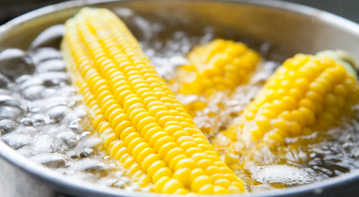 сроки варки овощей для приготовления. сколько нужно варить кукурузу. сорта кукурузы для варки. кукуруза в кастрюле. кукуруза для варки.