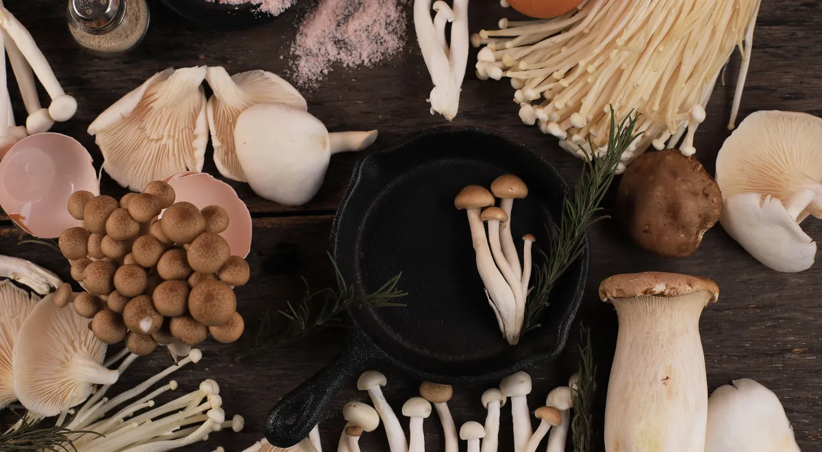 Необычные грибы: где можно попробовать блюда с сянгу, цао гу, древесными грибами и даже с мухомором