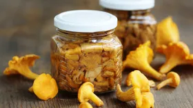 Рецепты на обед с лисичками и чесноком