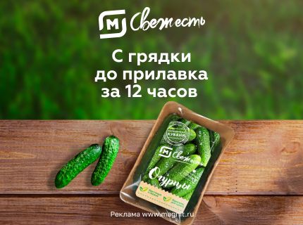 / Tochka-online: закупки у поставщиков Дальнего Востока и Сибири