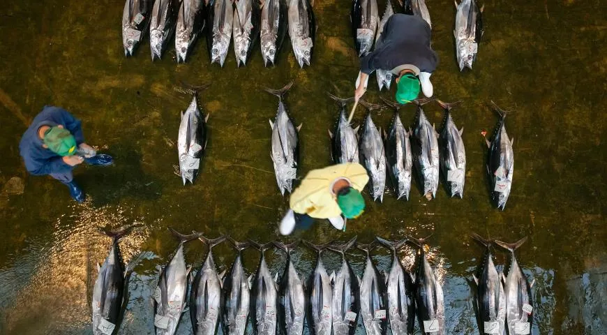 рынок Цукидзи