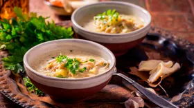 Суп с вешенками: 10 рецептов вкусных и согревающих грибных супов