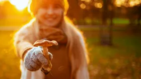 «Загрязненные» и городские грибы: где живут самые грязные и как очистить их от токсинов