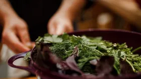 Рецепты с маслом растительным, мукой пшеничной и щавелем