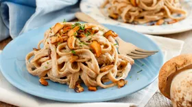 Белый гриб: как распознать, где собирать и что из него готовить