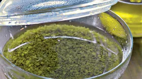Рецепты с молочной продукцией, маслом оливковым и сельдереем