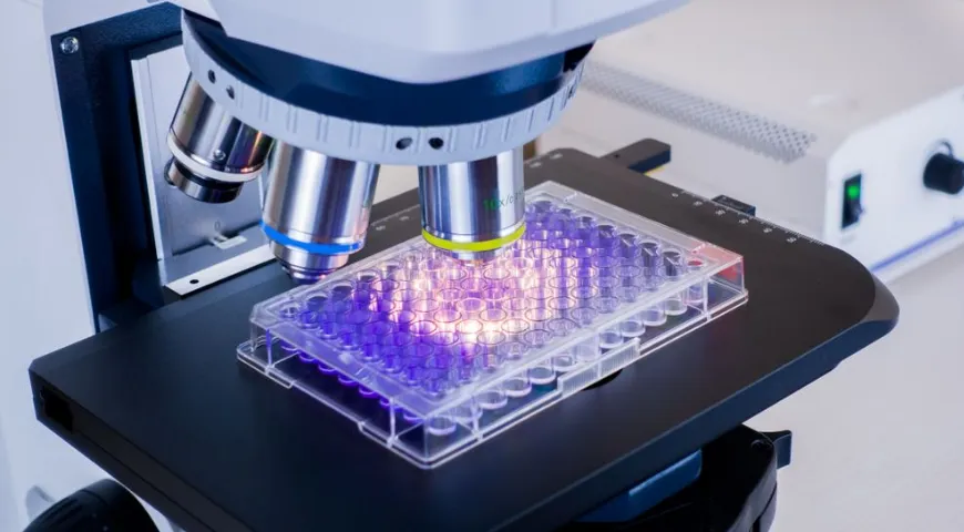 В формулах для пробиотических клининговых средств используются бактерии, безопасные для здоровья человека 