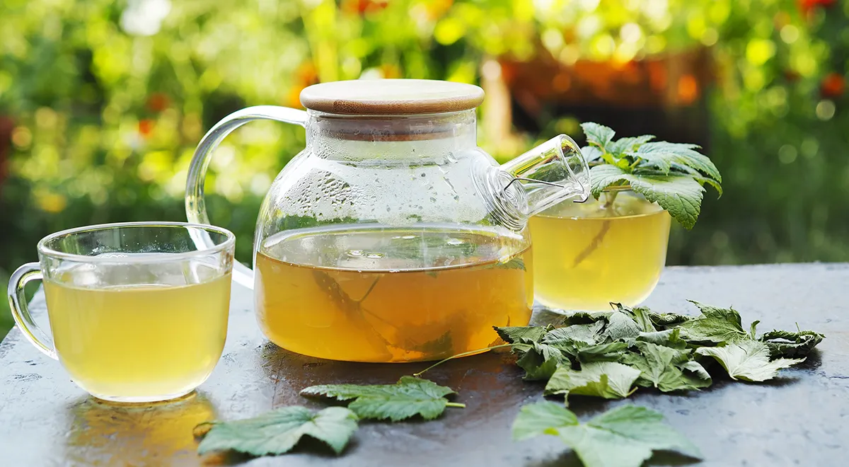 Чай из листьев малины и смородины: польза и вред