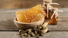 Диабет, герпес, воспаления — эксперты проверили, действительно ли прополис поможет