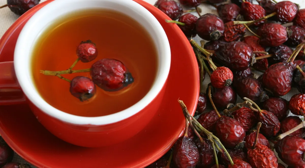 И у полезного шиповника могут быть противопоказания