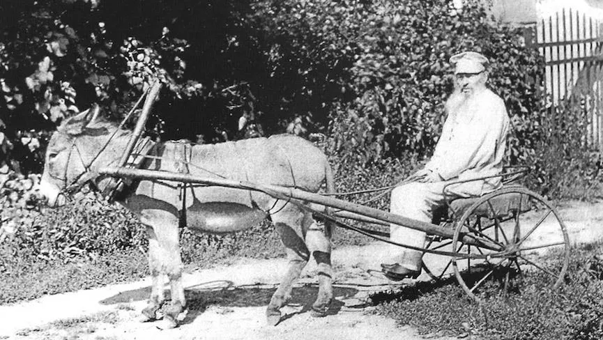 Афанасий Фет и его ослик по имени Некрасов, Воробьевка, 1890 год