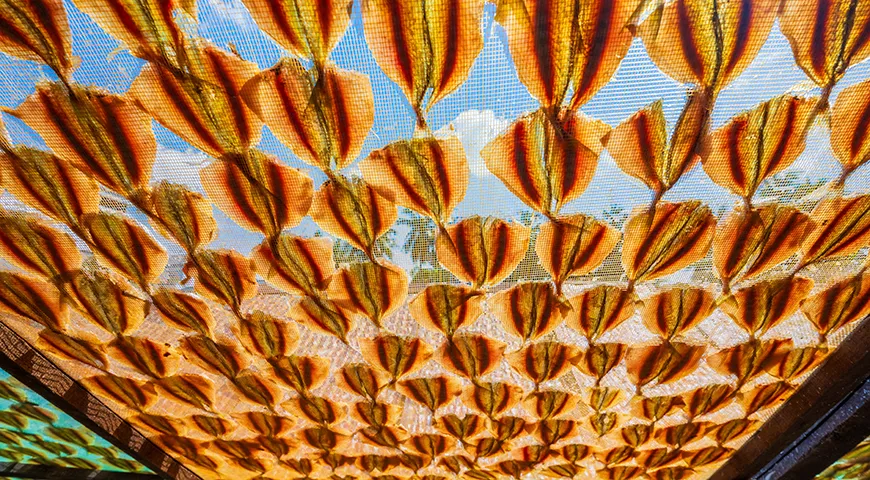 Рекомендуемая суточная норма потребления желтого сушеного полосатика для взрослых составляет 30–50 граммов как закуска или компонент блюда