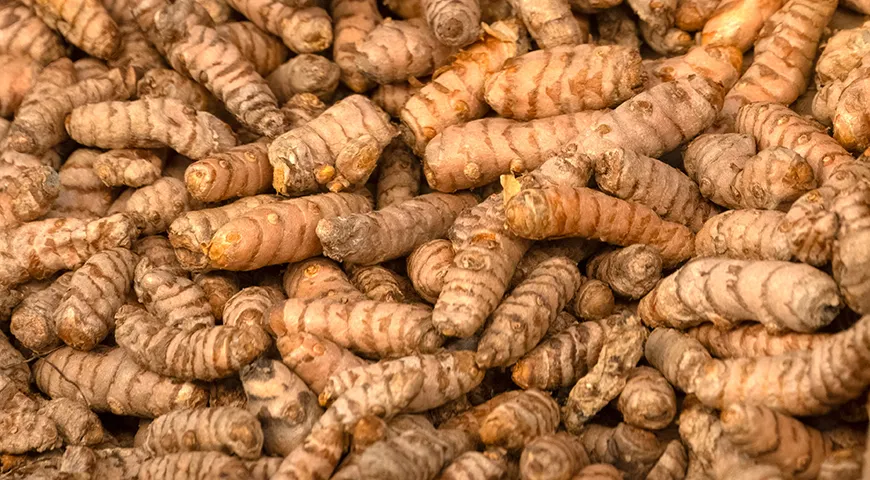Под тонкой кожицей корня куркумы скрывается мякоть ярко-оранжевого, почти неонового оттенка