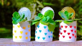 Ботанические эксперименты