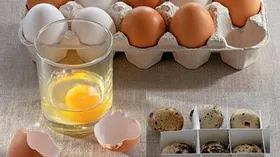 Яйца в кулинарии: Домашний майонез, льезон, яйцо-пашот. Свежесть яиц