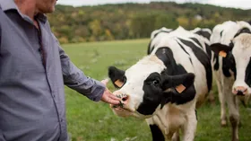Российское правительство выделяет деньги на поддержку сельского хозяйства страны, их может получить любой, кто готов серьезно заниматься делом