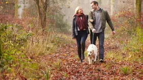 15 минут в день нужно проводить в парке — ученые объяснили причину