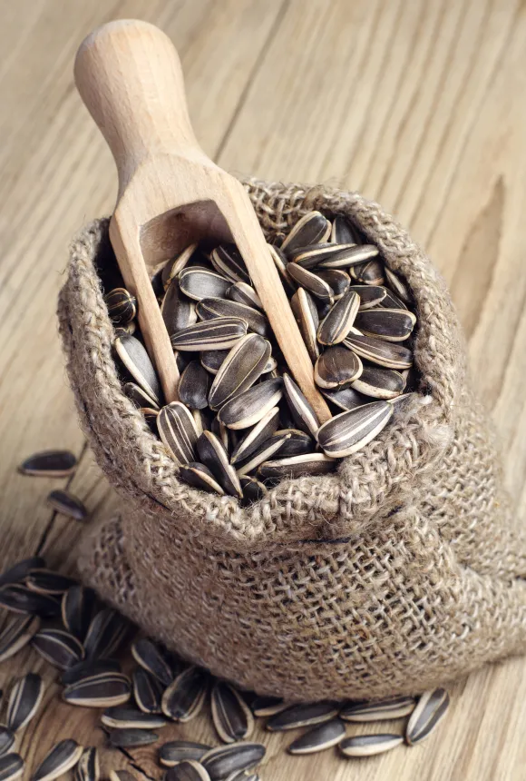 Семечки подсолнечника