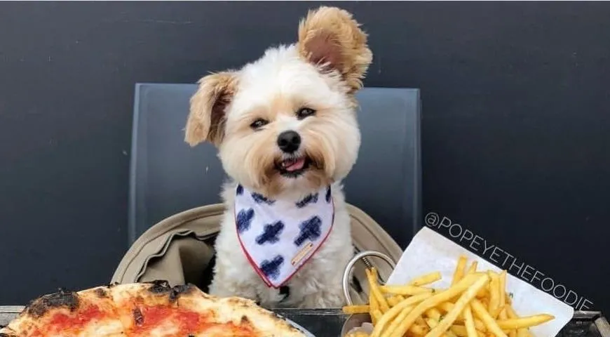 Инстаграм @popeyethefoodie 