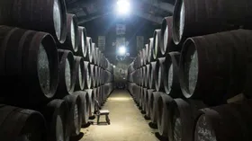 История одной бодеги: электрическое вино и самый древний пресс для вина в Испании