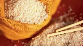 Рис, рис по-китайски, рис для ризотто, как готовить рис, плов