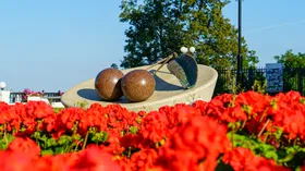 Во Владимире пройдет фестиваль «Владимирская вишня»