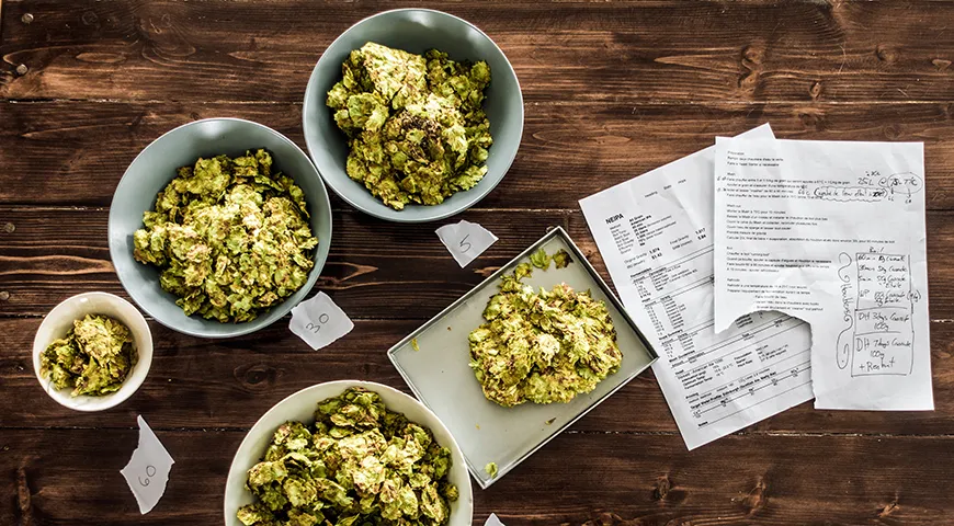 Археологи и крафтовые пивовары пробуют воссоздать древние рецепты, изучая химический состав осадков, найденных в тысячелетних кувшинах