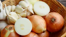 Фитонциды: секретное оружие растений, о котором вы не знали