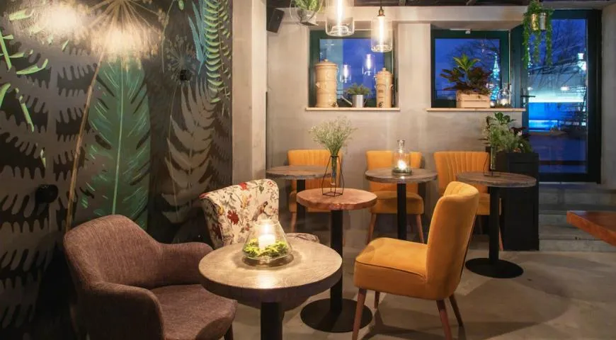 Бар Ботанист