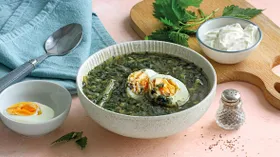 Рецепты с сливочным маслом и щавелем