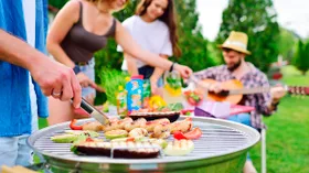 5 законов экопикника