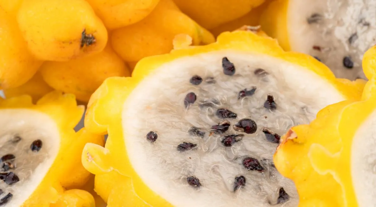 Питахайя – лучшее средство для детокса. Так считают в соцсетях