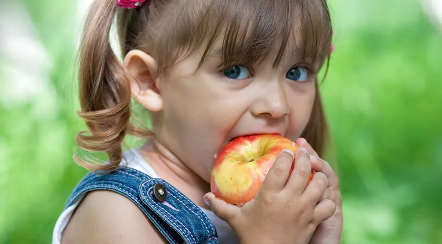 В одном среднем яблоке содержится около 12% суточной потребности в клетчатке