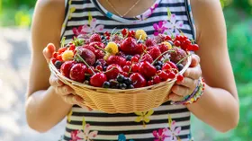 Врач рассказал, что не стоит есть слишком много фруктов даже летом