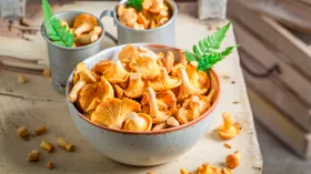 7 лучших рецептов лисичек на зиму: как сохранить вкус и аромат любимых грибов
