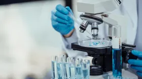 Ученые нашли альтернативу импортным пищевым добавкам — она намного полезнее